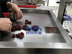 دستگاه بسته بندی مواد غذایی عمودی CP01