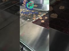 گردوی روکش شکلاتی